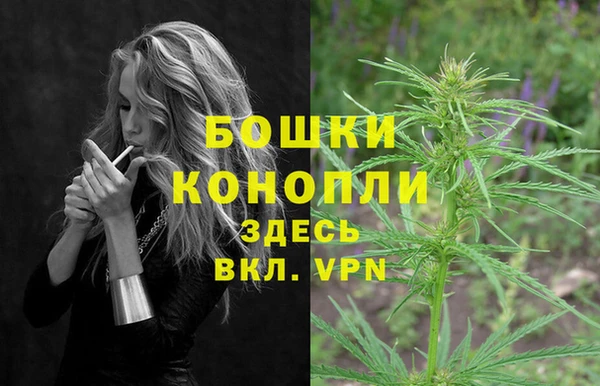 spice Инсар