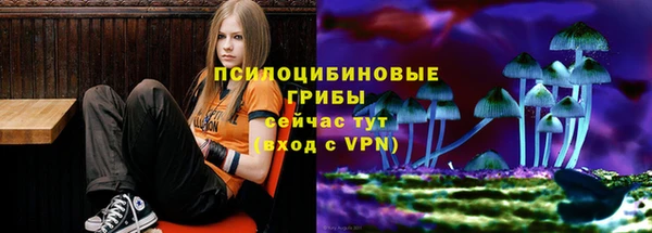 spice Инсар