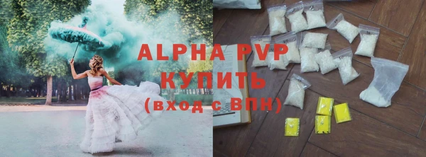 spice Инсар