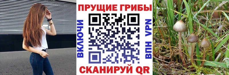 Купить  Комсомольск  Псилоцибиновые грибы мухоморы 